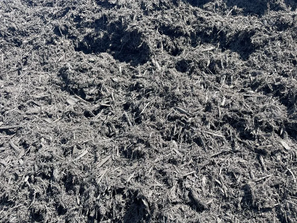 Expert landscaping services near you in Lynchburg, VA by Leesville Landscape Supplies