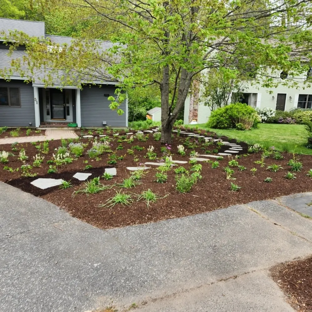 Top-rated yard cleanup service near you in Brunswick, ME by Leeward Fine Gardening