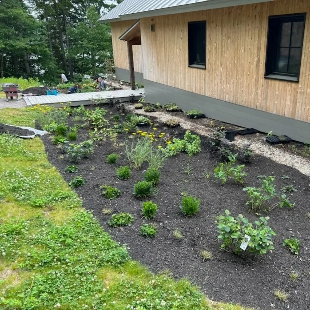 Local yard cleanup service in Brunswick, ME by Leeward Fine Gardening