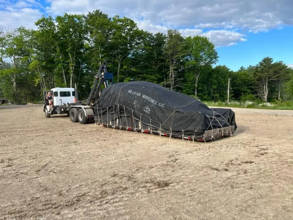 Local outdoor landscaping in Brunswick, ME by Leeward Fine Gardening