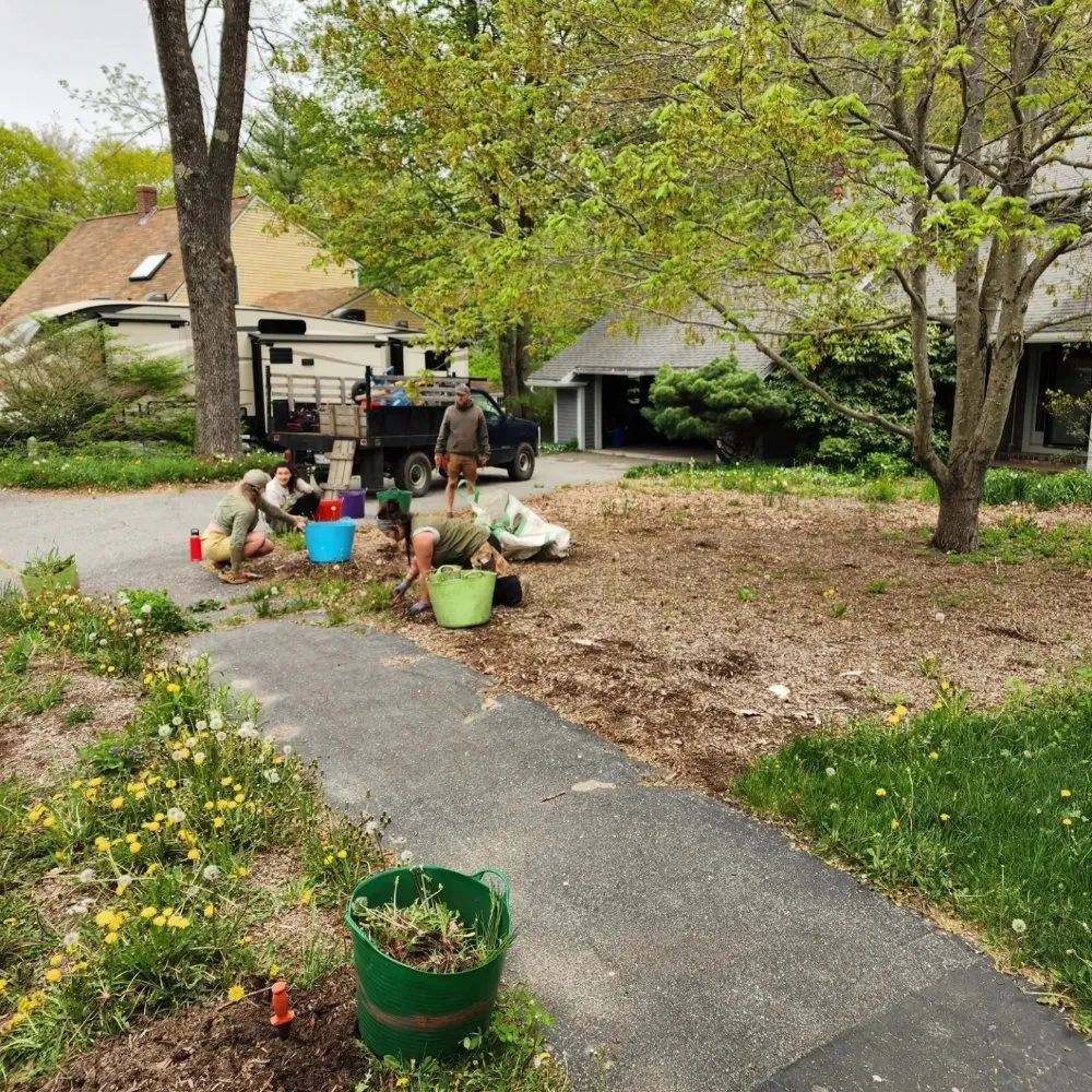 Local outdoor landscaping experts serving Brunswick, ME - Leeward Fine Gardening