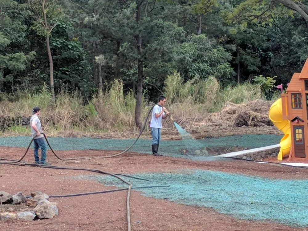 Professional yard cleanup service experts serving Kailua-Kona, HI - Leeward Landscaping