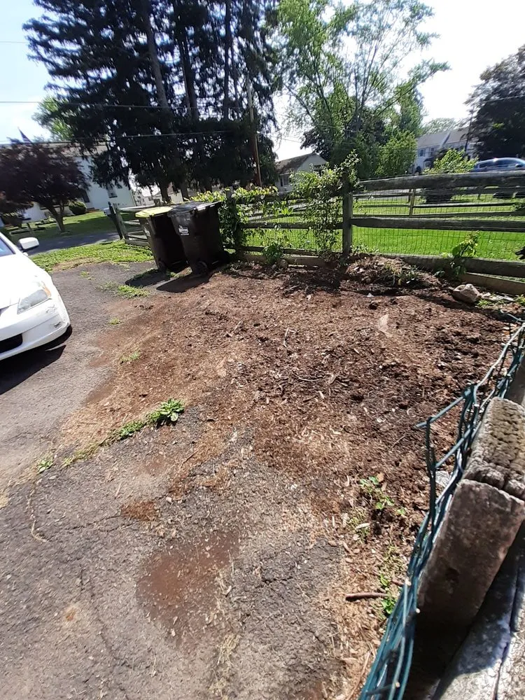 Top-rated lawn care service for outdoor upgrades in Horsham, PA by Lefebvre Landscaping