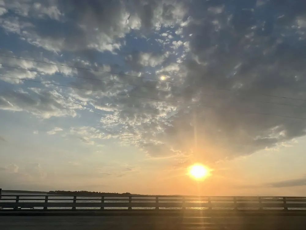 Trusted residential landscaping experts serving Newport, NC - LeFevers Landscaping and Nursey