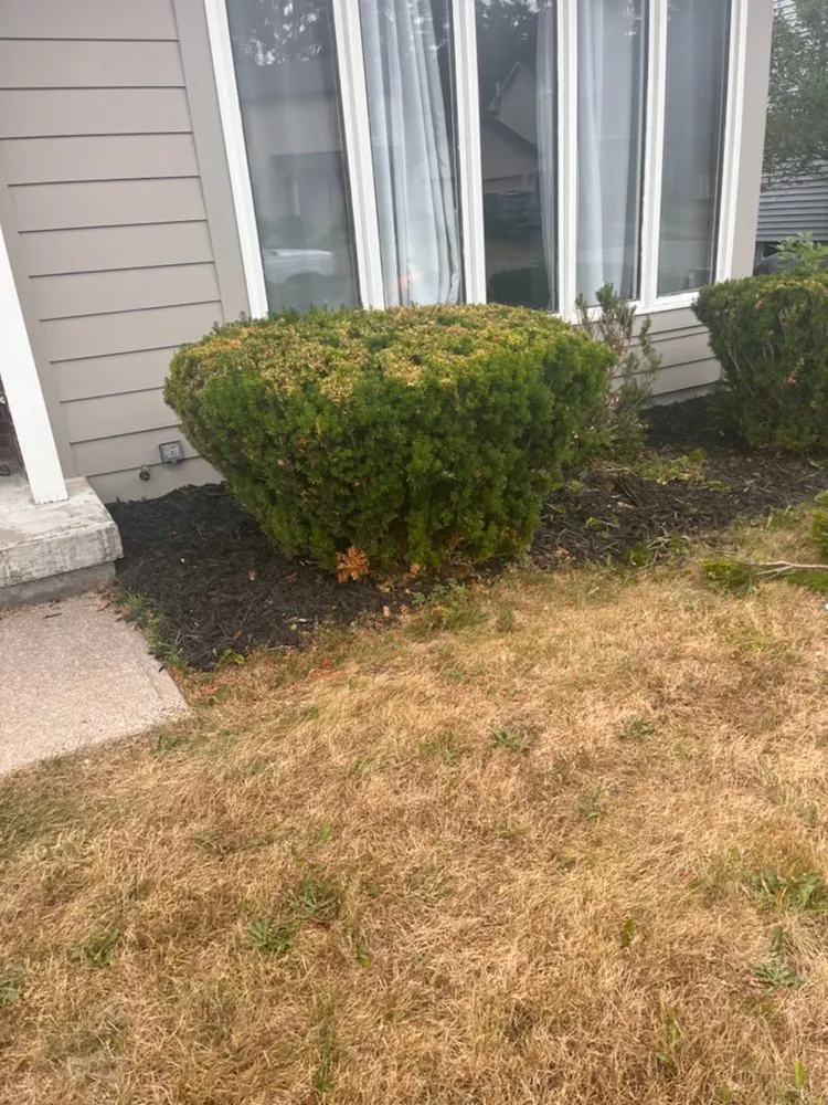 Top-rated landscaping services in Livonia, NY by Leftys Landscaping