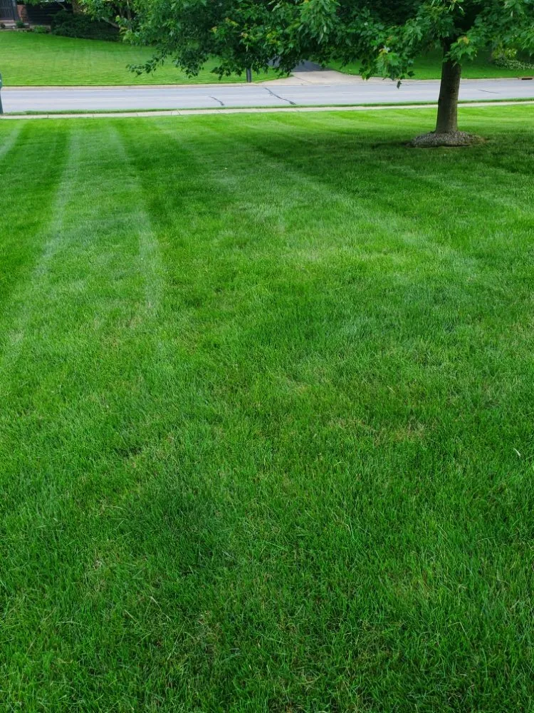 Reliable landscape design experts serving Canfield, OH - Lefty's Lawn Services