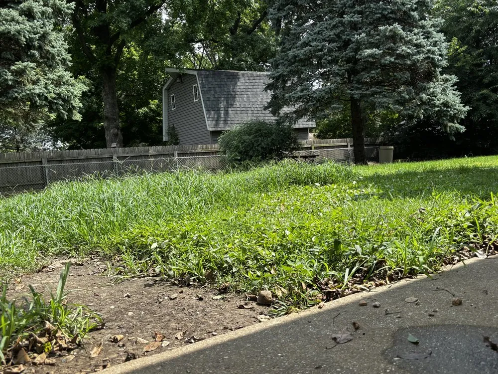 Reliable landscaping services experts serving Springfield, IL - Legacy And Lawncare Weeds