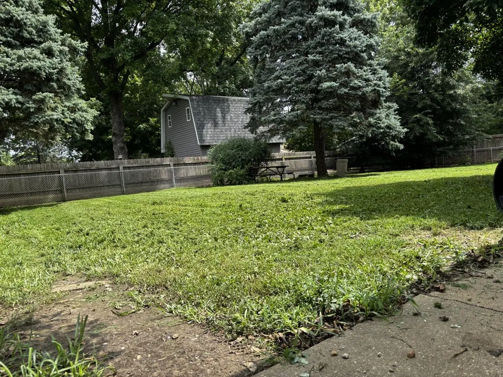 Top-rated yard cleanup service in Springfield, IL by Legacy And Lawncare Weeds