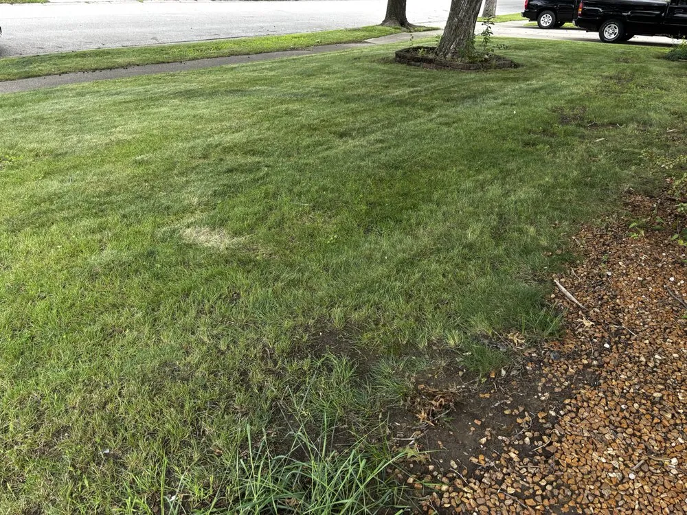 Local landscape installation in Springfield, IL - Legacy And Lawncare Weeds