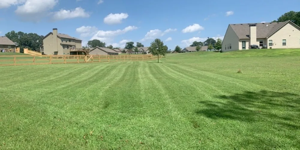 Professional yard cleanup service for homes in Clarkesville, GA by Legacy Construction