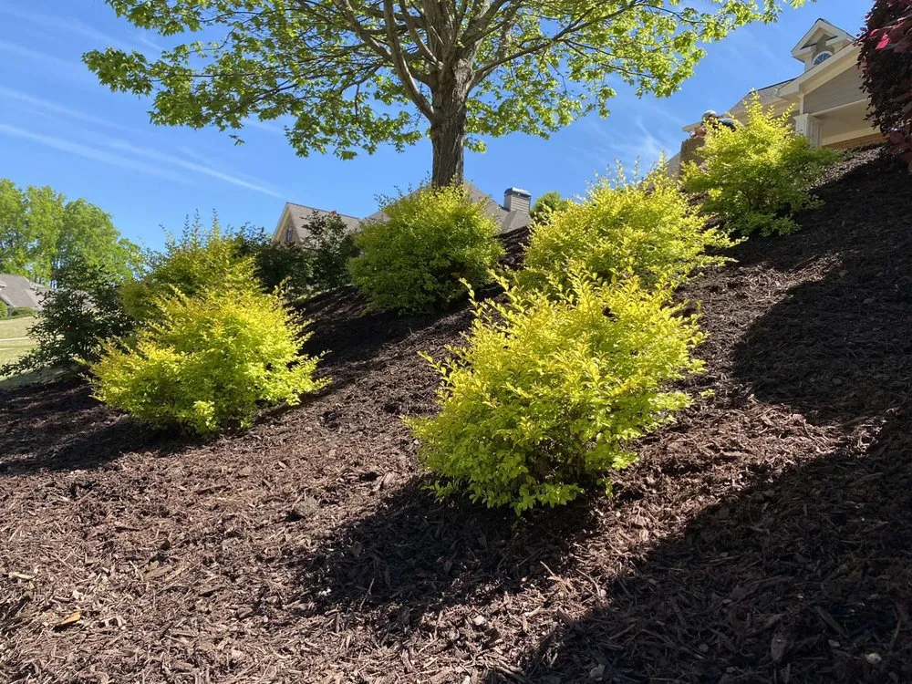 Professional garden landscaping in Clarkesville, GA by Legacy Construction