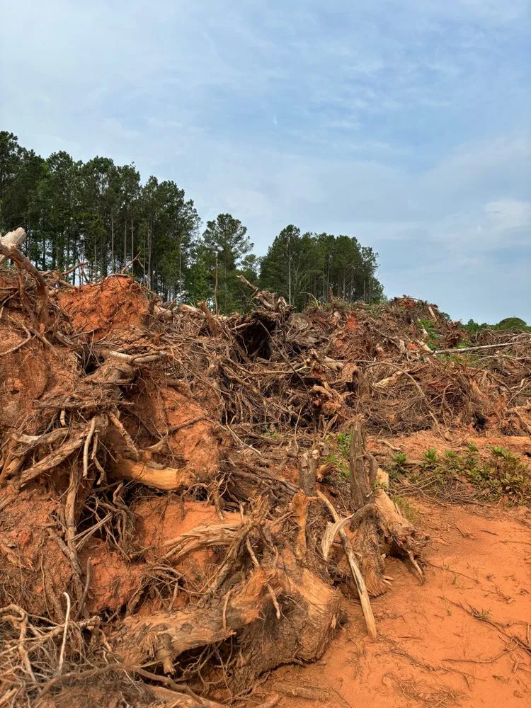 Affordable lawn care service in Barnesville, GA - Legacy Environmental Site Solutions