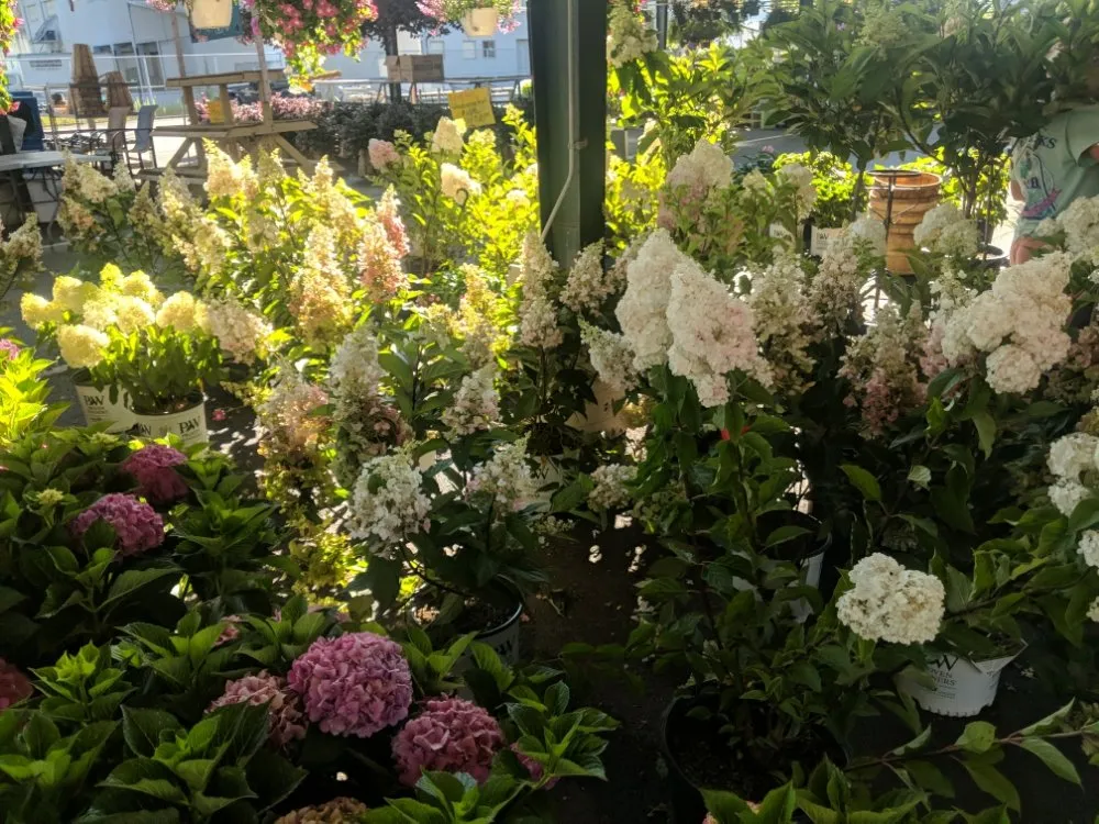 Reliable residential landscaping near you across Charleston, WV - Legacy Farms and Landscaping