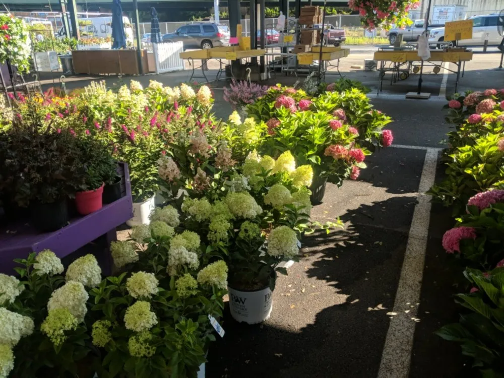 Expert residential landscaping experts serving Charleston, WV - Legacy Farms and Landscaping