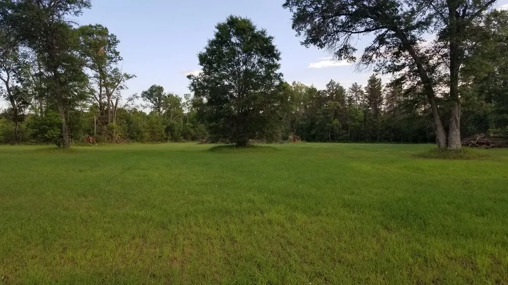 Custom landscaping services experts serving Saint Helen, MI - Legacy Food Plots