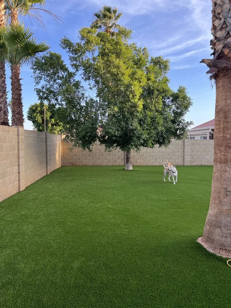 Trusted landscape installation for beautiful yards in Mesa, AZ by Legacy Green Solutions