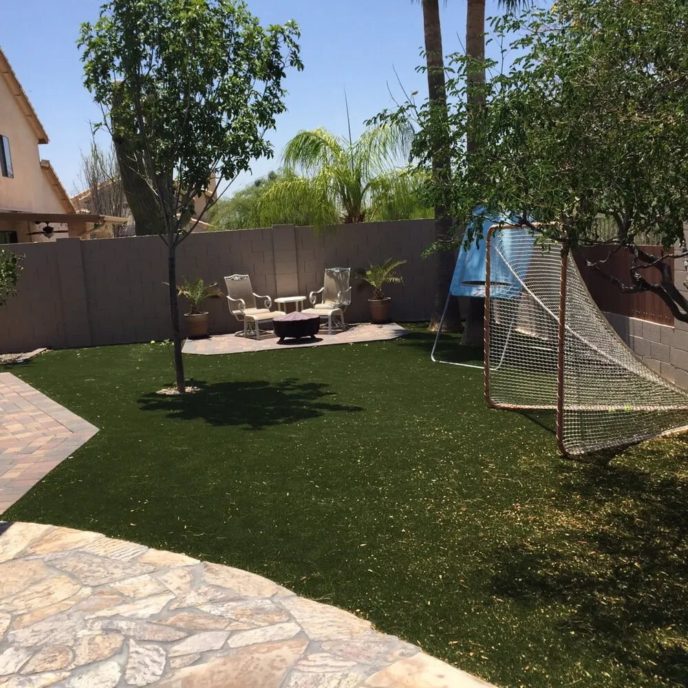Top-rated landscaping services for year-round maintenance across Mesa, AZ - Legacy Green Solutions