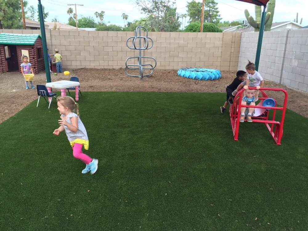 Local yard maintenance in Mesa, AZ - Legacy Green Solutions