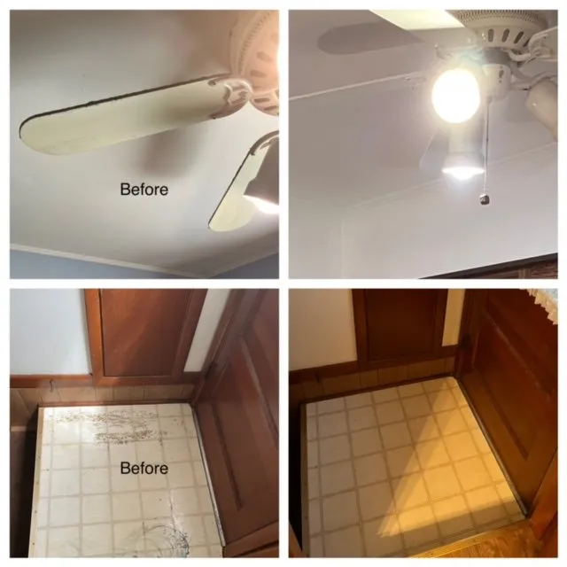 Custom outdoor landscaping in Wilmington, IL by Legacy Home Detailing Services