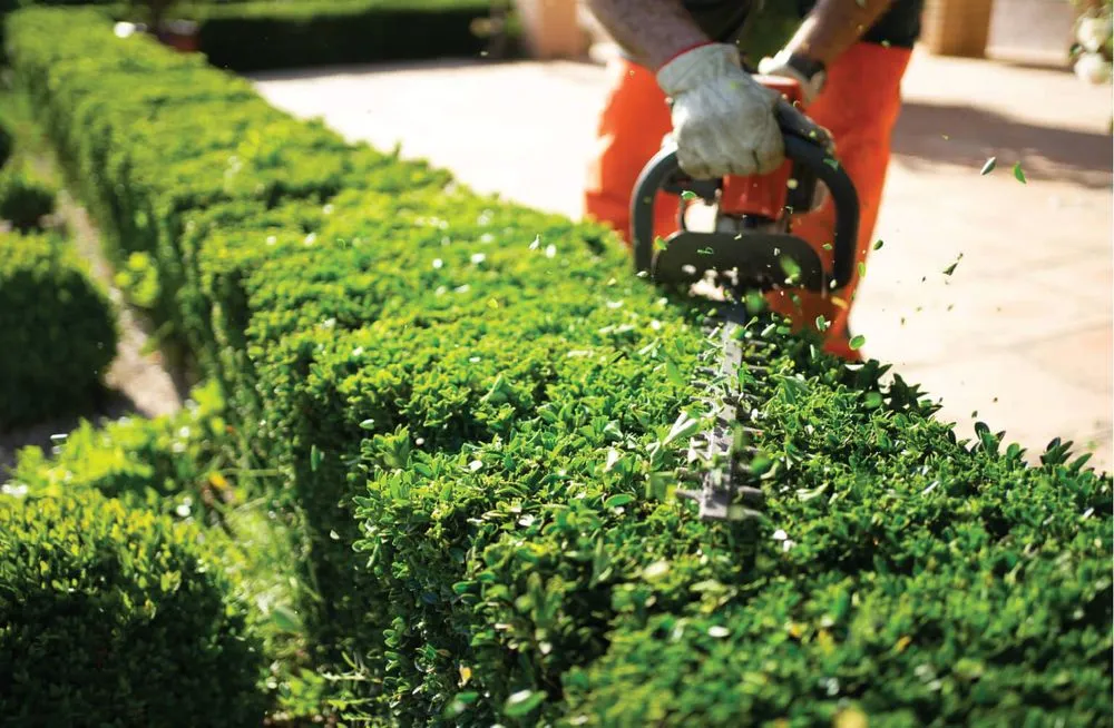 Trusted lawn mowing service in Belleville, IL - Legacy Home Solutions