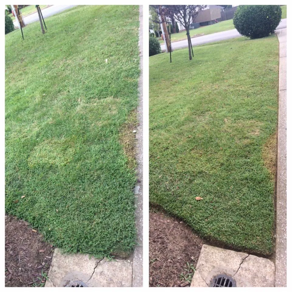 Local garden landscaping for outdoor upgrades across Franklin, TN - Legacy Land Management