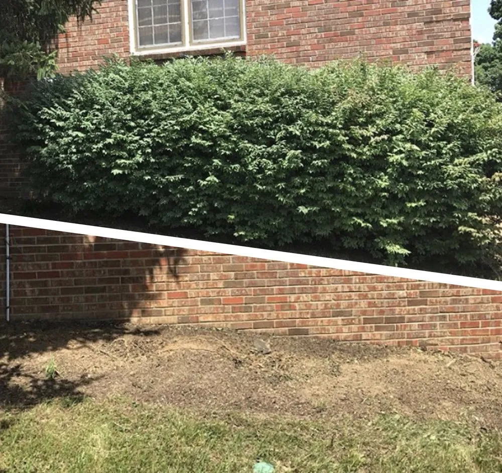 Trusted landscape installation in Franklin, TN by Legacy Land Management