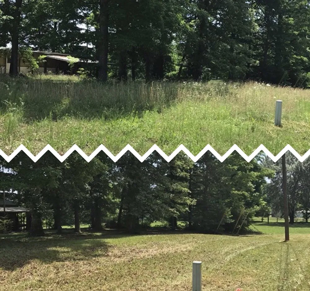 Professional landscape installation in Franklin, TN by Legacy Land Management