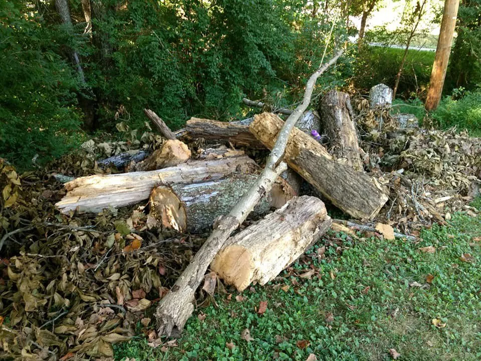 Expert yard cleanup service in Franklin, TN - Legacy Land Management