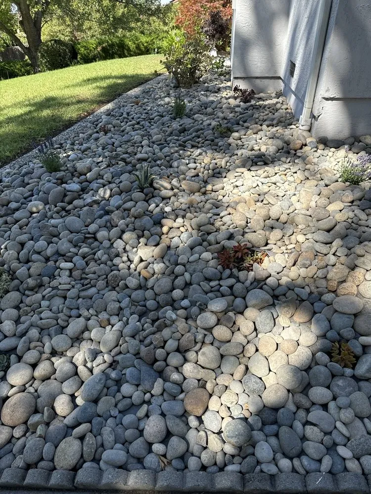 Local lawn mowing service for homes across Richmond, CA - Legacy Landscape CA