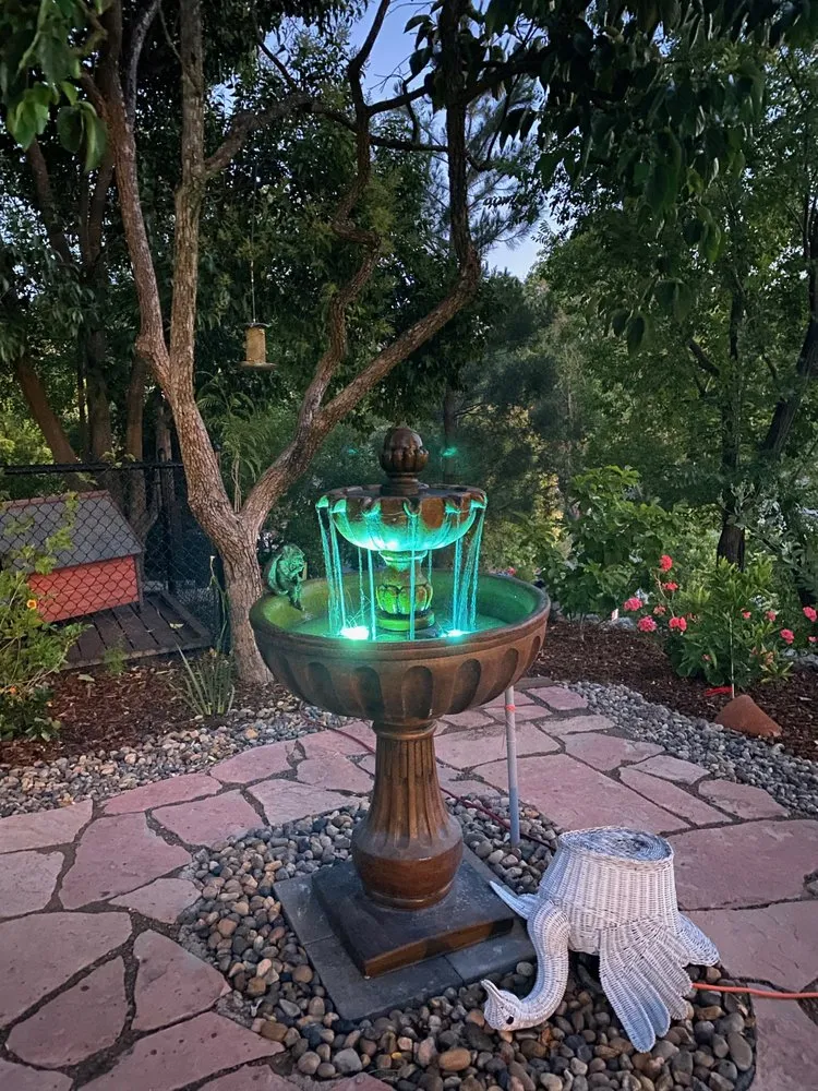 Professional yard cleanup service experts serving Richmond, CA - Legacy Landscape CA