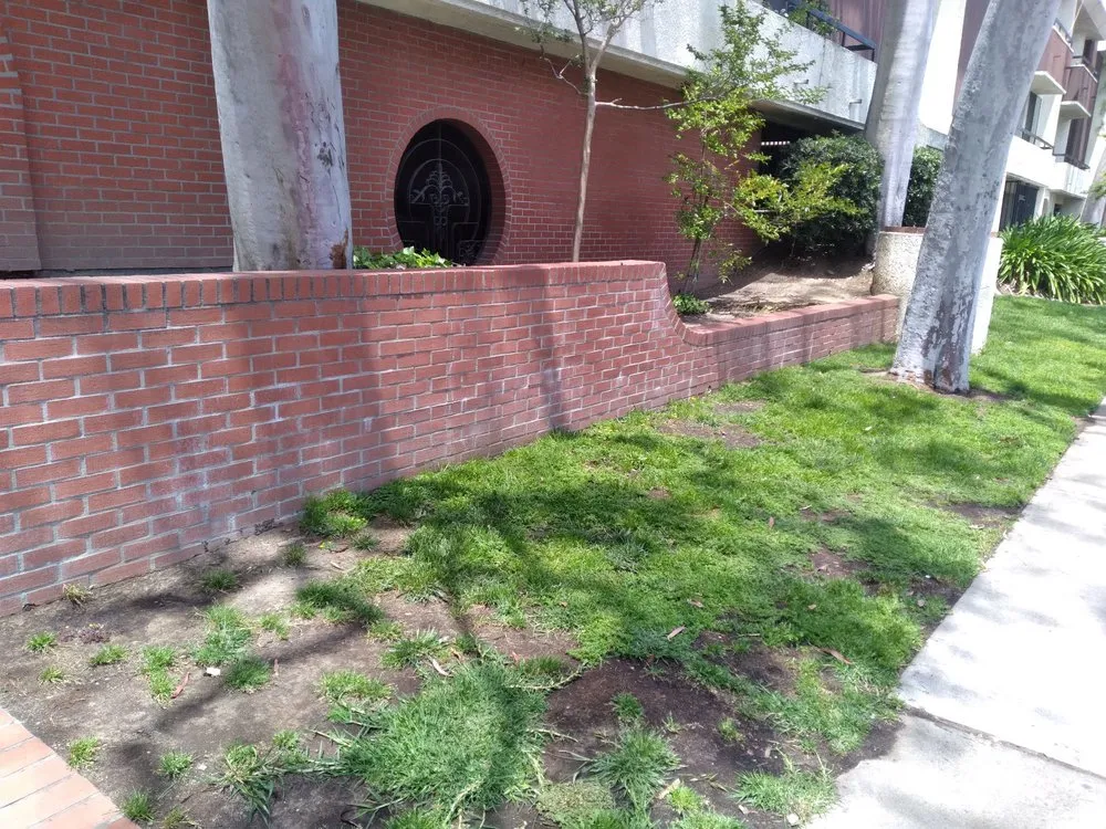 Custom lawn mowing service in Fountain Valley, CA - Legacy Landscape Co.