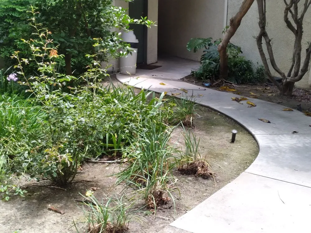 Top-rated garden landscaping for year-round maintenance in Fountain Valley, CA by Legacy Landscape Co.