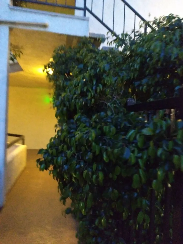 Custom yard cleanup service for outdoor upgrades across Fountain Valley, CA - Legacy Landscape Co.