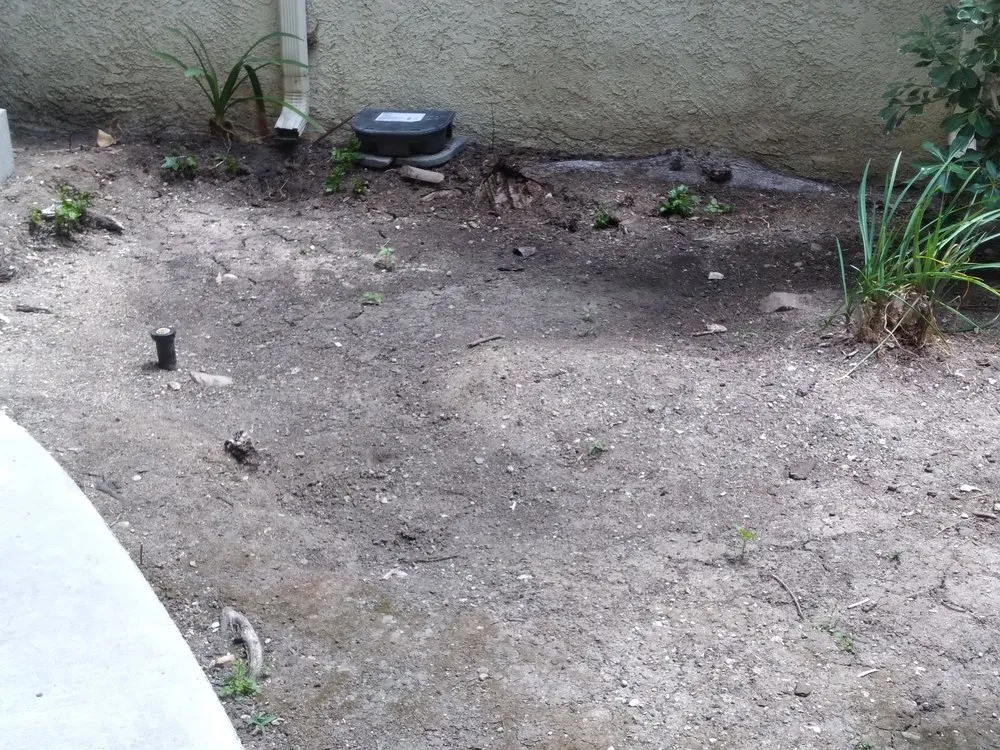 Affordable garden landscaping for beautiful yards across Fountain Valley, CA - Legacy Landscape Co.