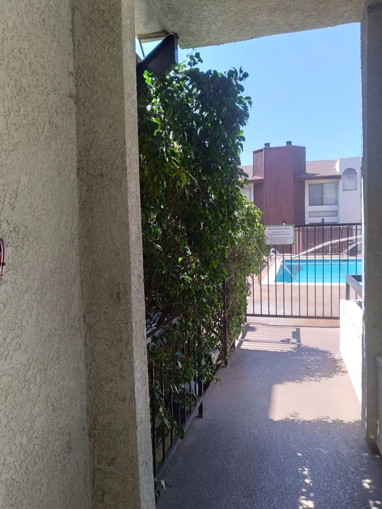 Custom yard cleanup service for beautiful yards across Fountain Valley, CA - Legacy Landscape Co.