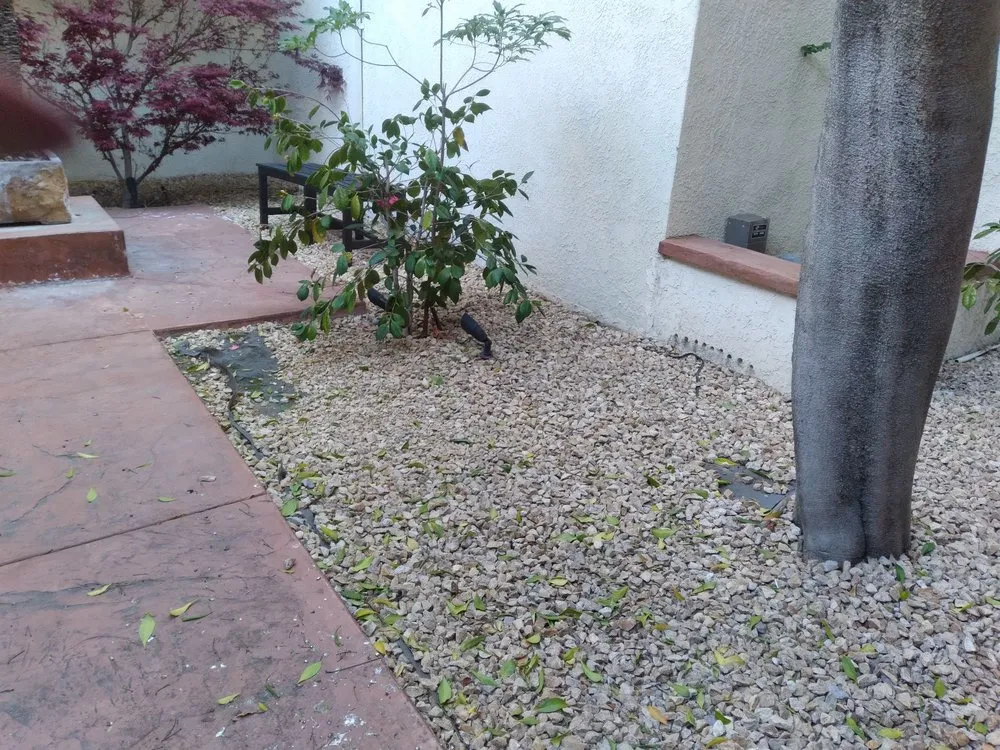 Local landscape design in Fountain Valley, CA by Legacy Landscape Co.