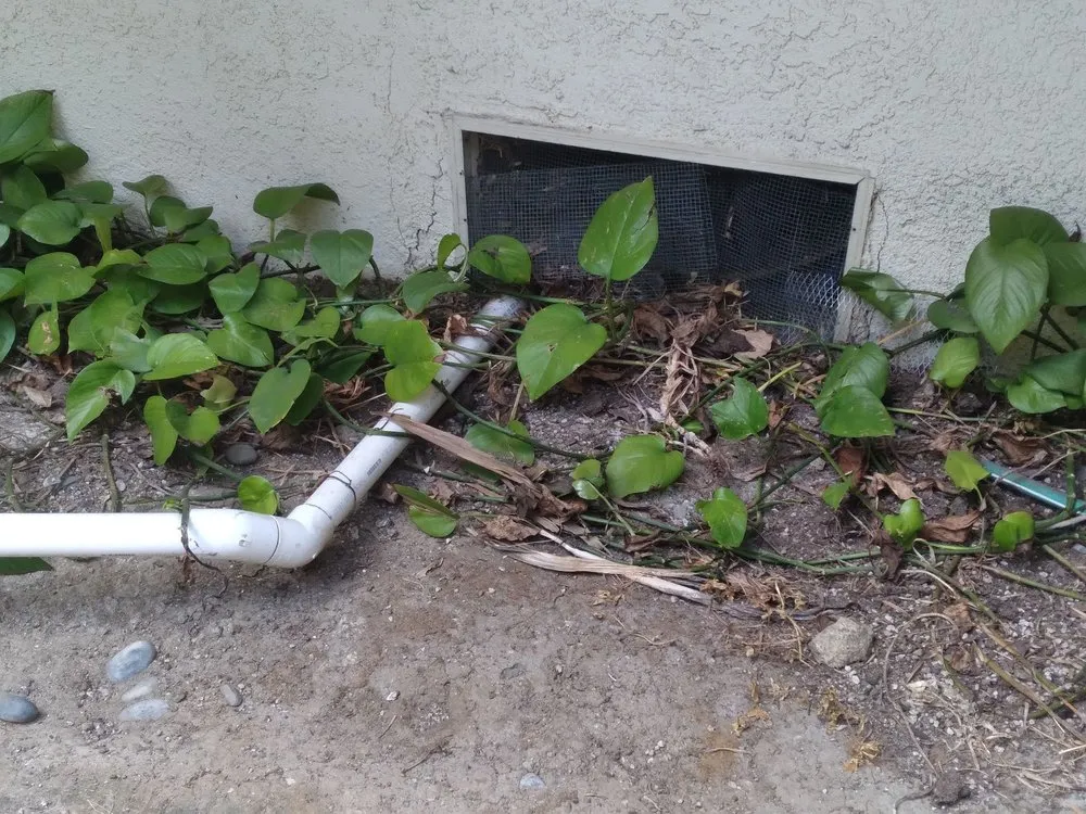 Affordable residential landscaping experts serving Fountain Valley, CA - Legacy Landscape Co.