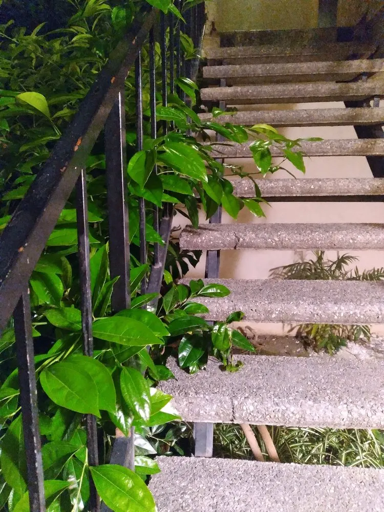 Affordable yard maintenance for beautiful yards across Fountain Valley, CA - Legacy Landscape Co.