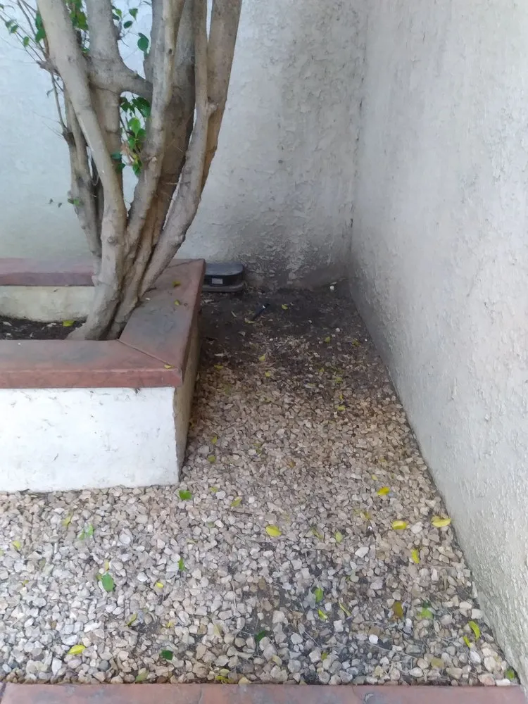 Expert landscape design experts serving Fountain Valley, CA - Legacy Landscape Co.