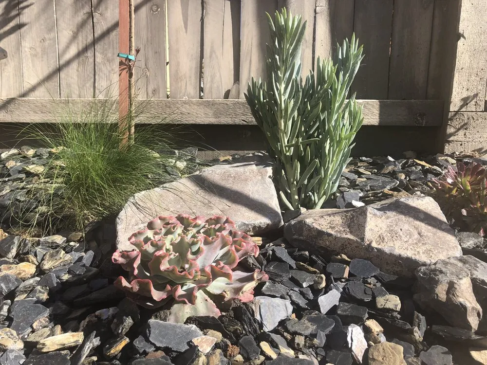 Trusted garden landscaping for year-round maintenance in Rancho Cordova, CA by Legacy Landscape Construction