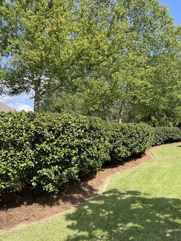 Custom lawn care service near you across Robert, LA - Legacy Landscape Group