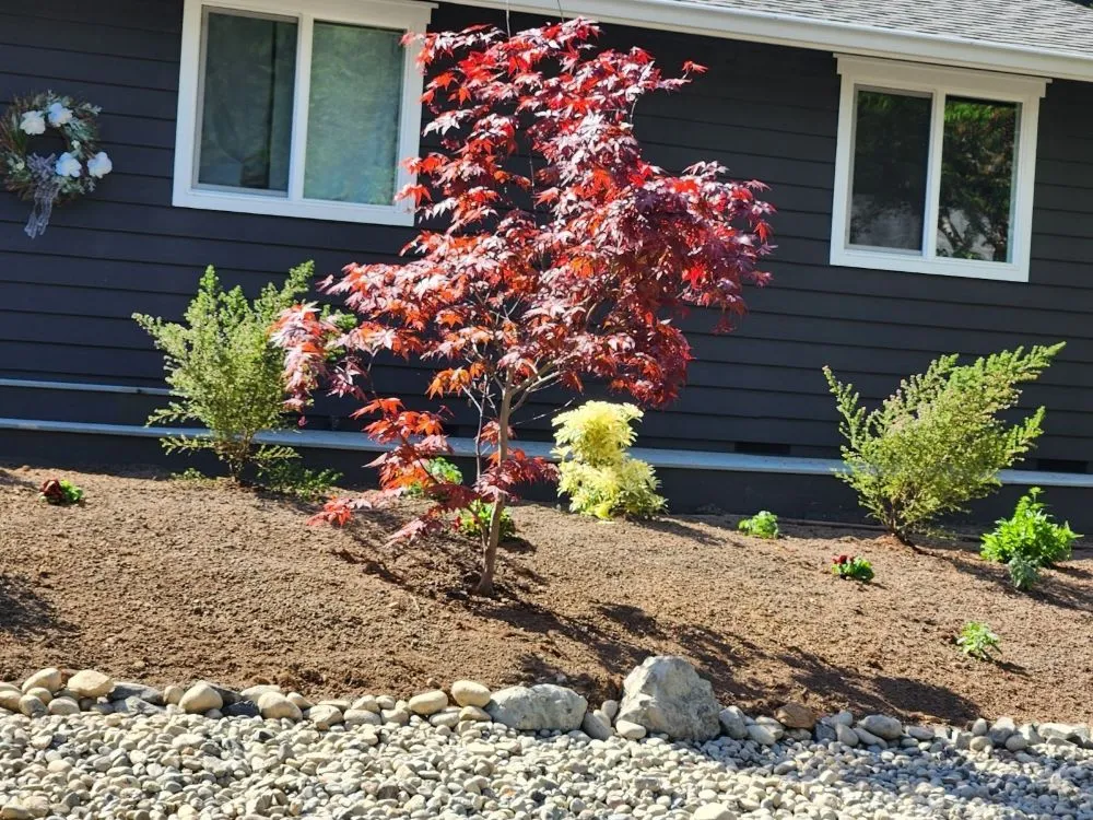 Affordable yard cleanup service experts serving Kirkland, WA - Legacy Landscape