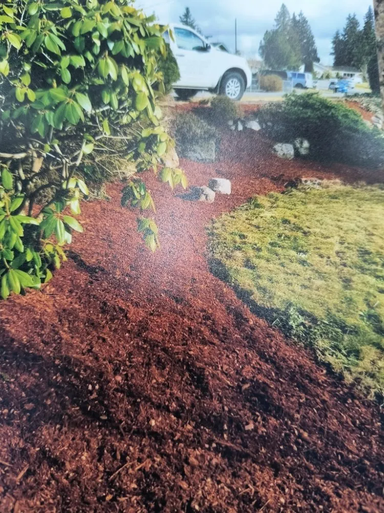 Reliable yard cleanup service in Kirkland, WA by Legacy Landscape
