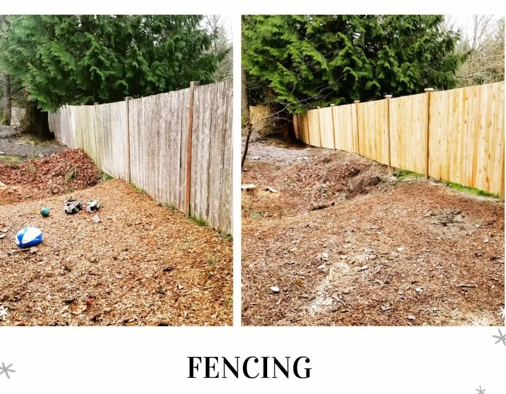 Professional outdoor landscaping in Kirkland, WA by Legacy Landscape