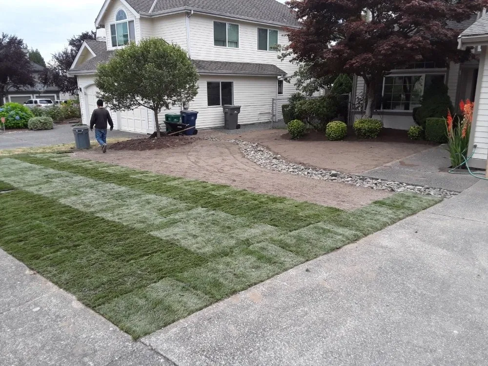 Professional yard cleanup service in Kirkland, WA by Legacy Landscape