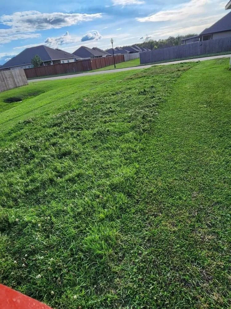 Local residential landscaping for residential properties across Kirkland, WA - Legacy Landscape