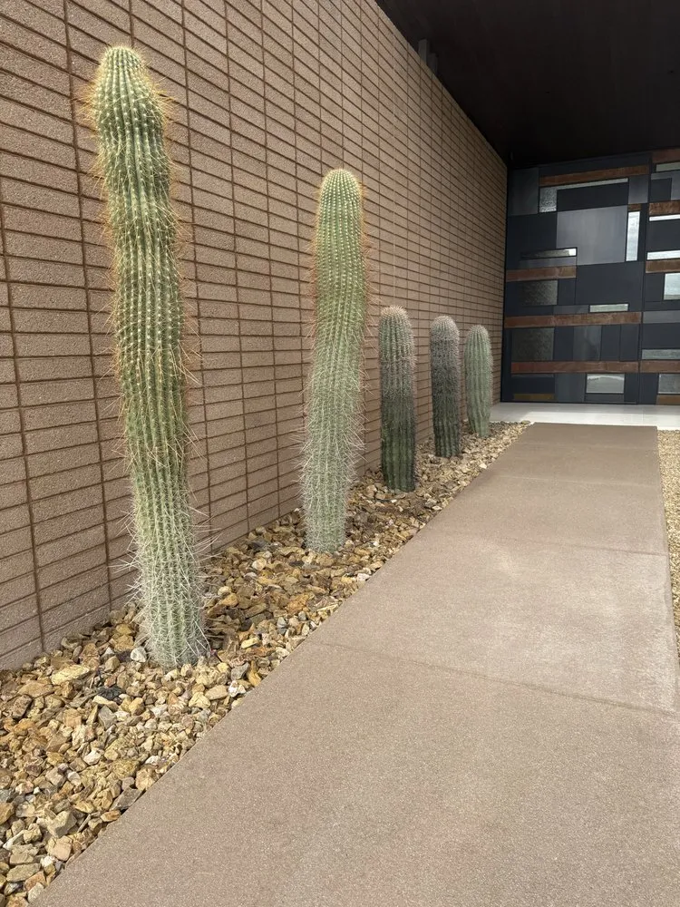 Reliable yard maintenance experts serving Las Vegas, NV - Legacy Landscape