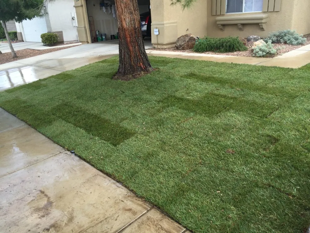 Local residential landscaping experts serving Las Vegas, NV - Legacy Landscape