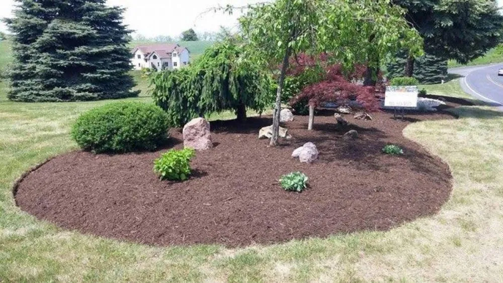 Custom outdoor landscaping for residential properties in Prosperity, SC by Legacy Landscape Solutions