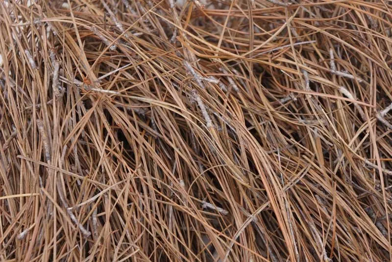 Affordable lawn care service in Commerce, GA by Legacy Landscape Supply